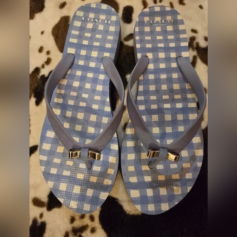 Coach Blue Checkered Flip Flops with Gold Accents